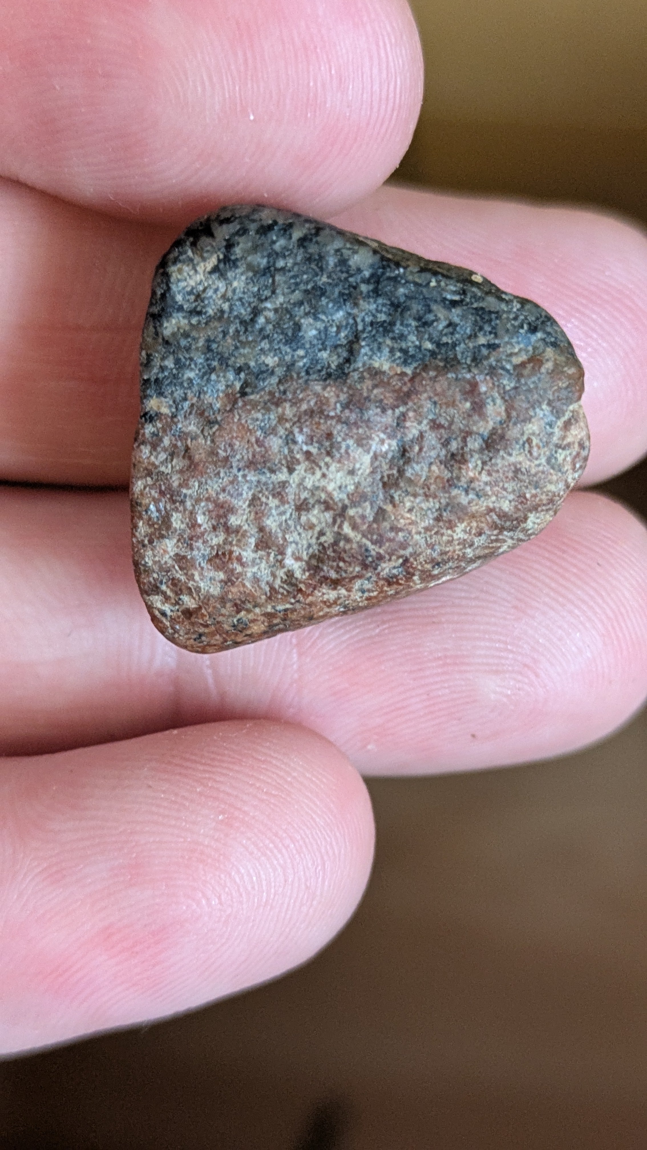 Extra Cool Xenolith of Monazite Top Piece/Top Quality