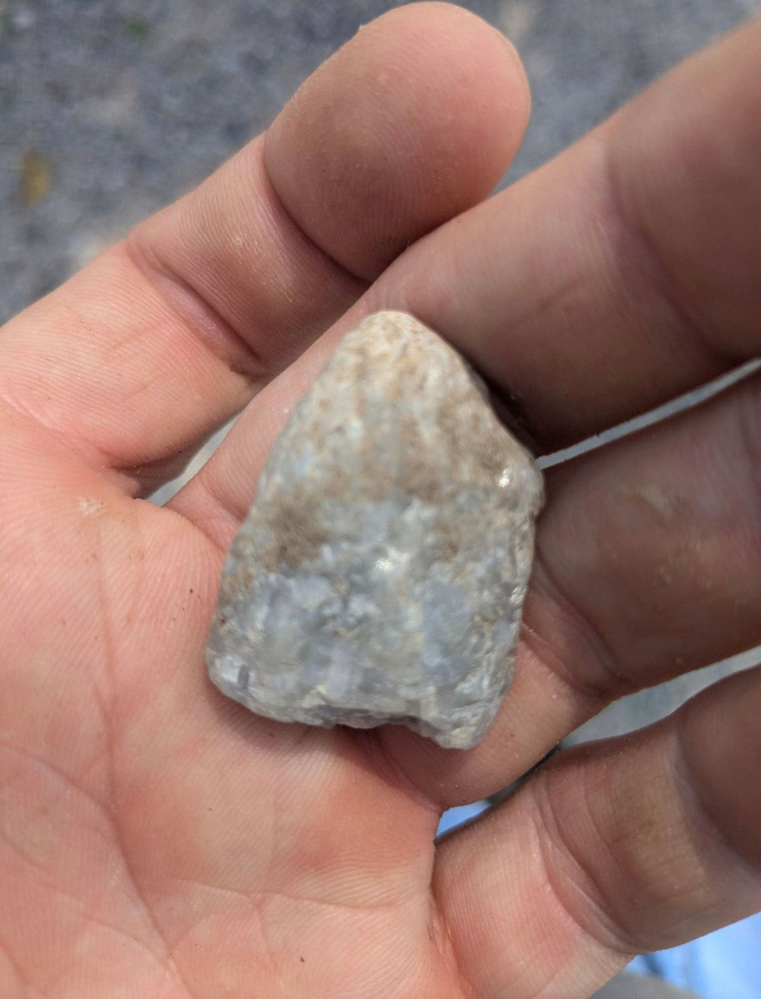 Zeolite Xenolith Top Piece