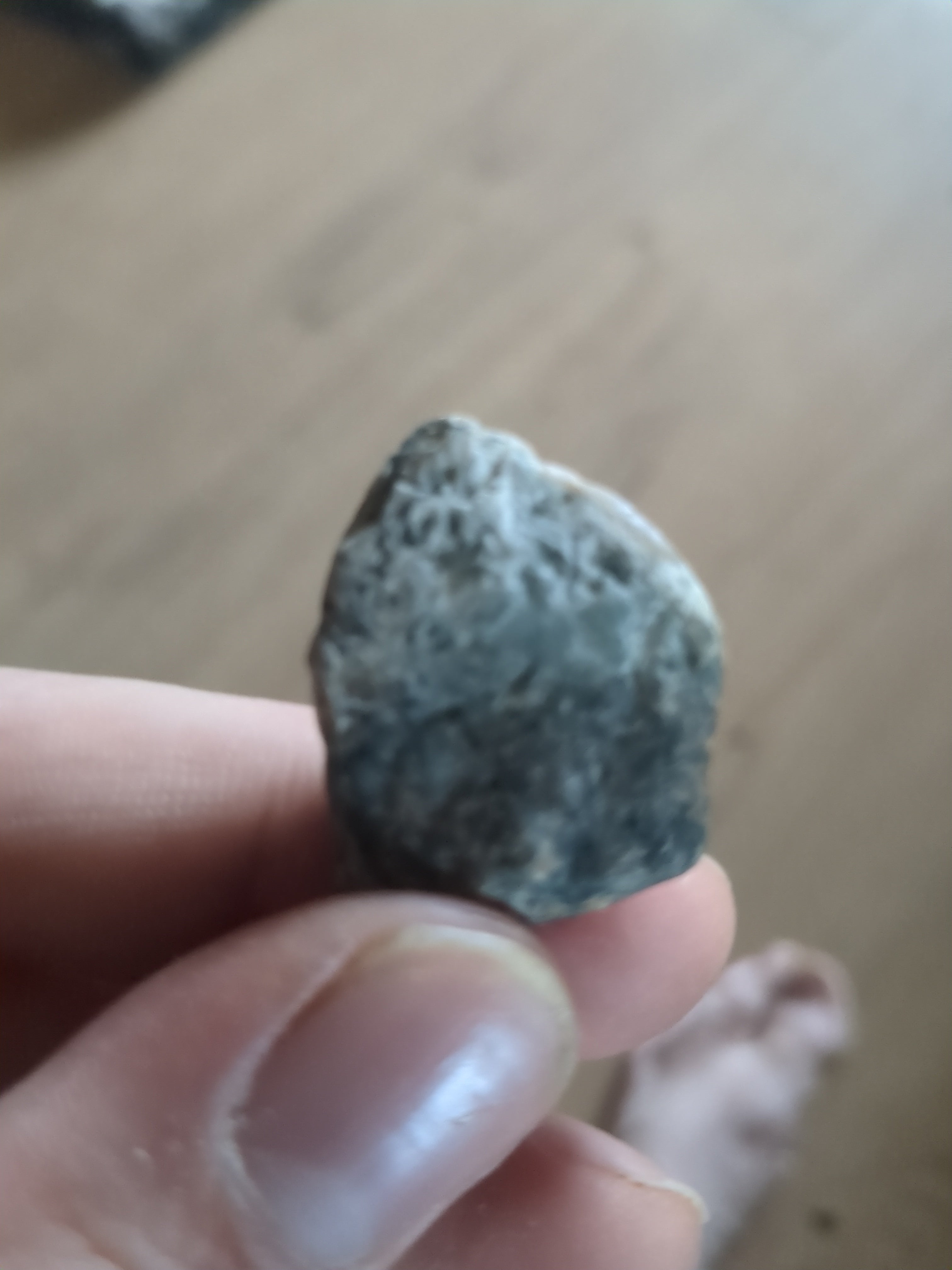 Ferromagnesian Xenolith Top Piece